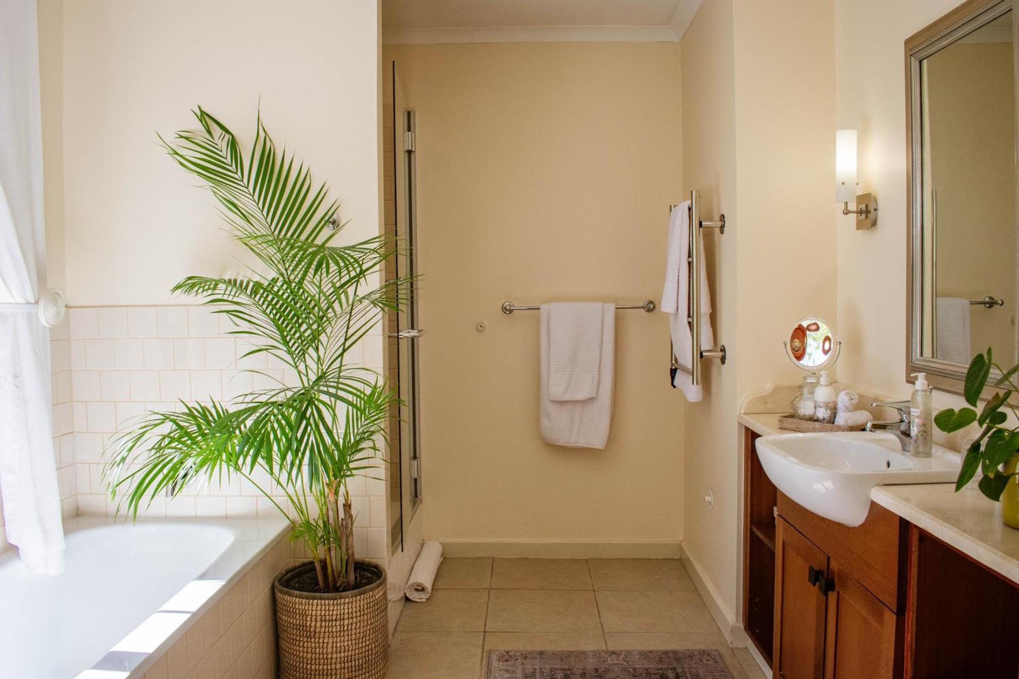 5 Seasons Guest House Στέλενμπος Εξωτερικό φωτογραφία